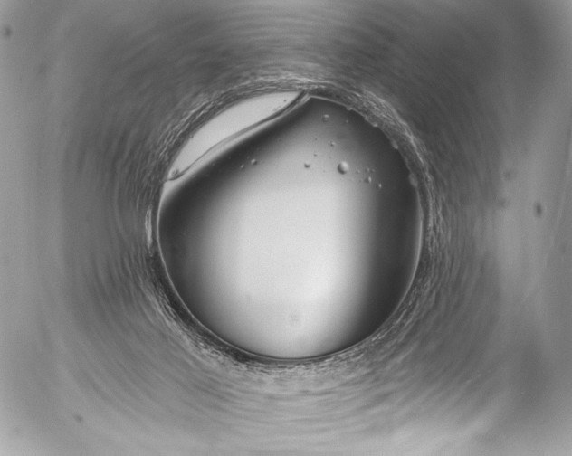 X0000053060021200507251500