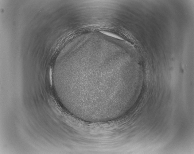 X0000053060022200507251500