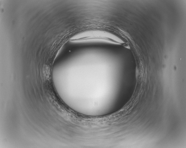 X0000053060025200507251500