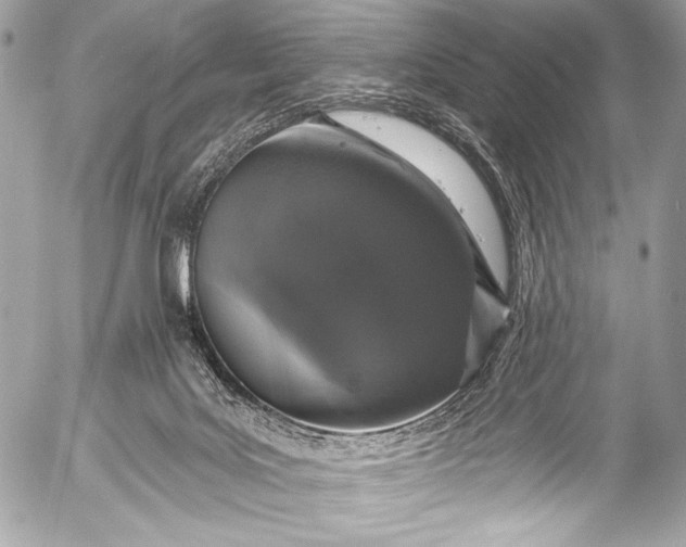 X0000053060027200507251500