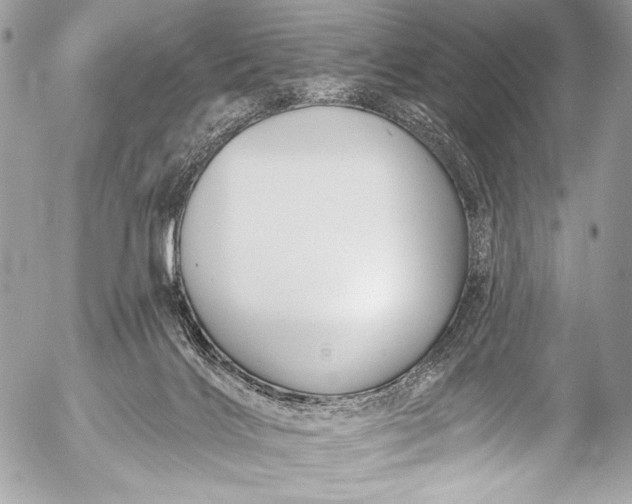 X0000053060028200507251500