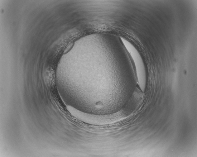 X0000053060029200507251500