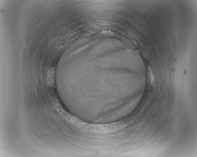 X0000053060030200507251500