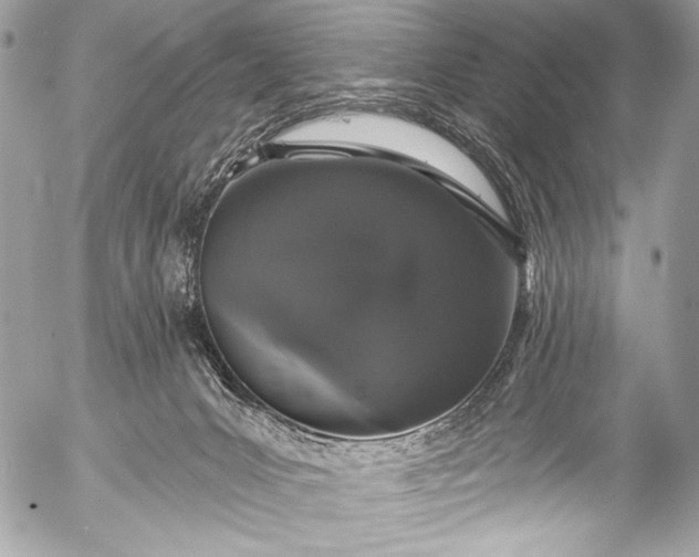 X0000053060031200507251500