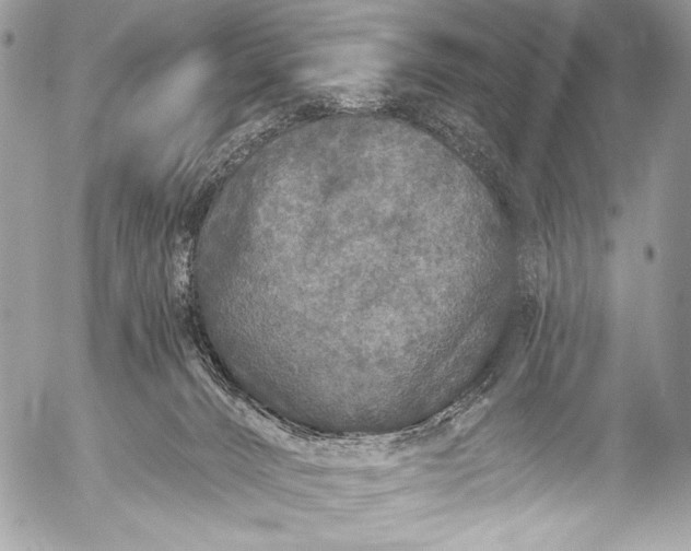 X0000053060032200507251500