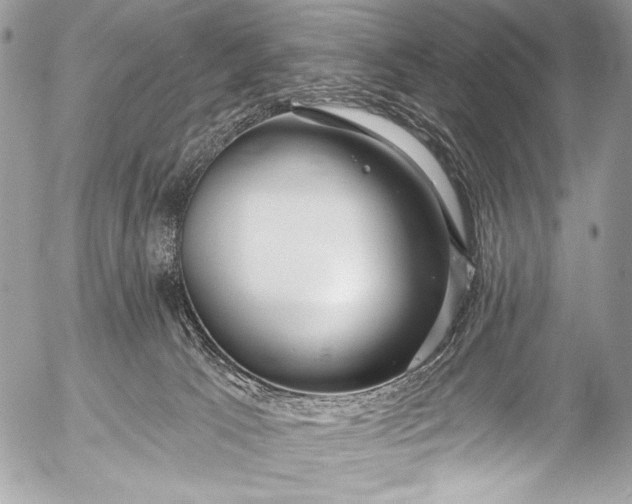 X0000053060033200507251500