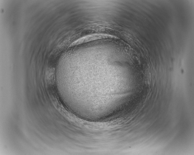 X0000053060034200507251500