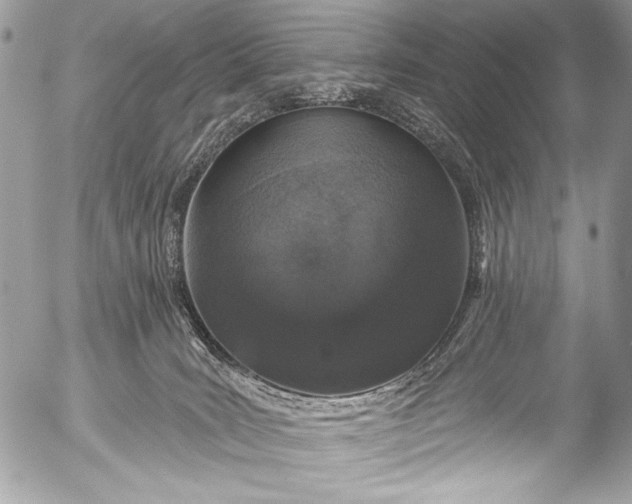 X0000053060035200507251500