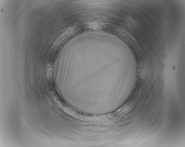 X0000053060036200507251500