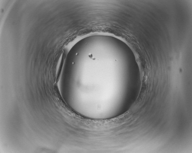 X0000053060037200507251500