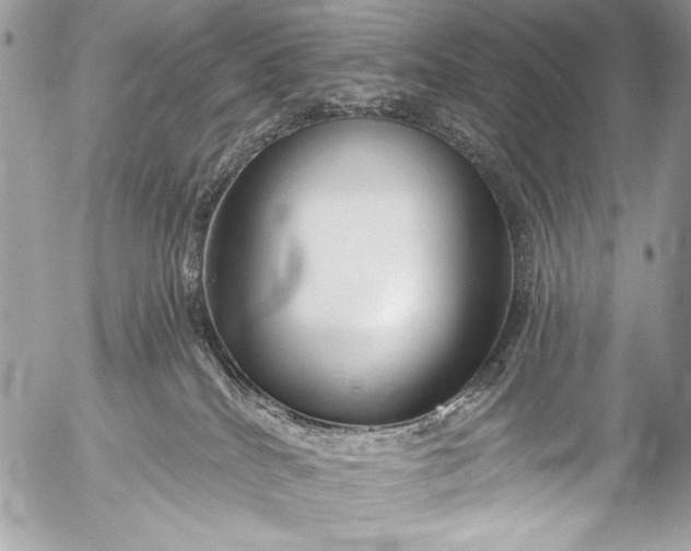 X0000053060040200507251500