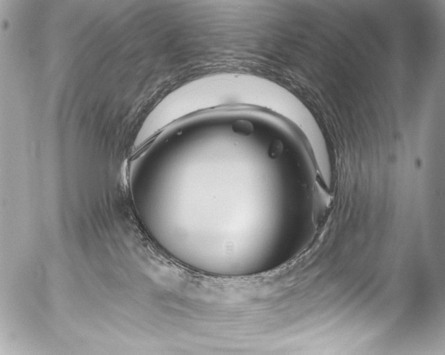 X0000053060041200507251500