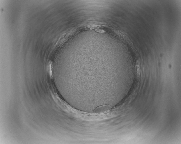 X0000053060042200507251500