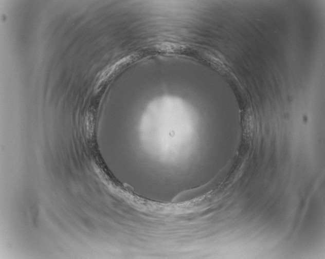 X0000053060043200507251500