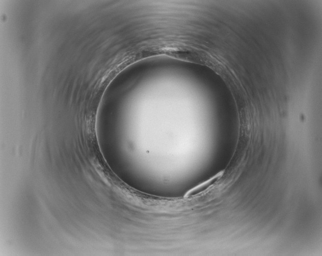 X0000053060044200507251500