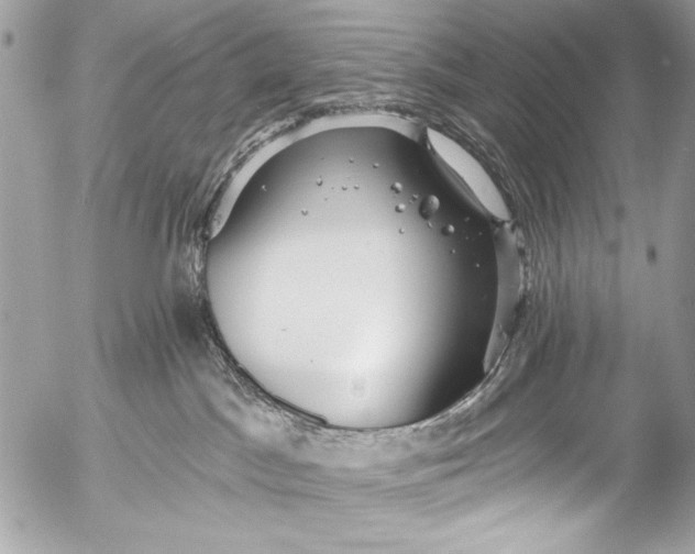 X0000053060045200507251500