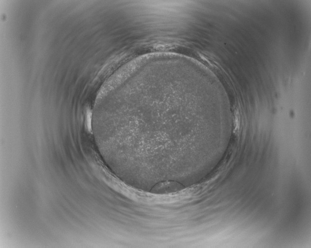 X0000053060046200507251500