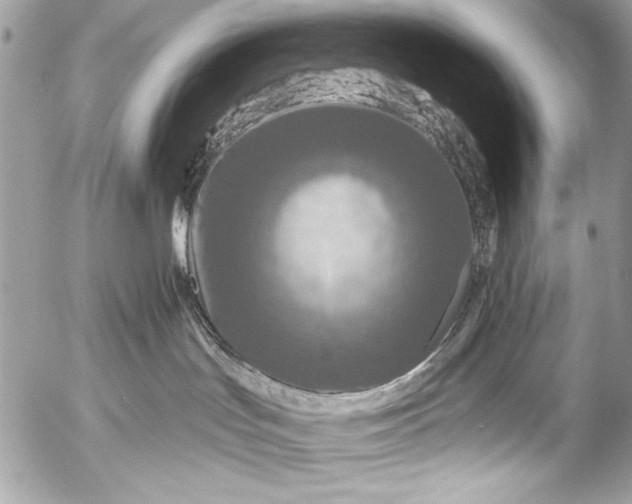 X0000053060047200507251500