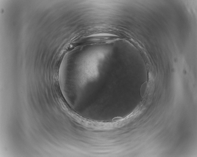 X0000053060048200507251500