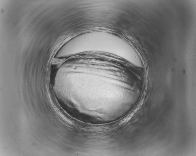 X0000053060049200507251459