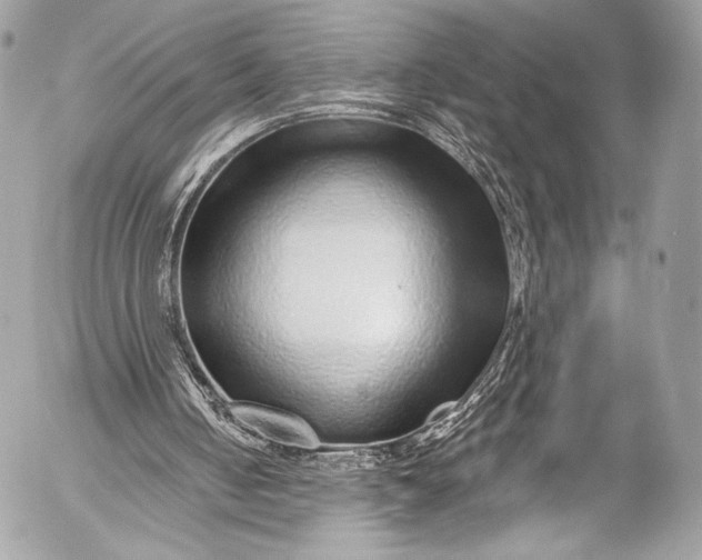 X0000053060050200507251459