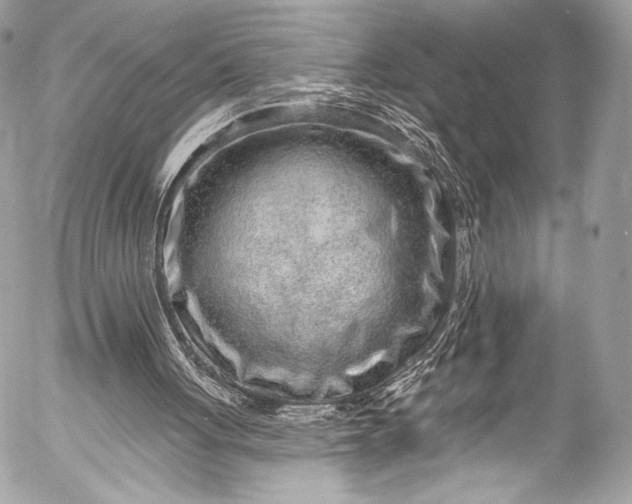 X0000053060051200507251459