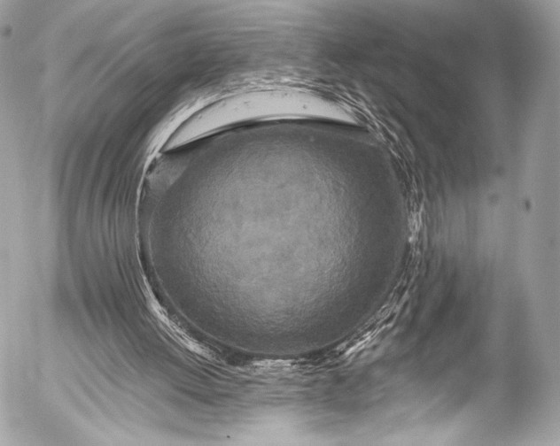 X0000053060052200507251459