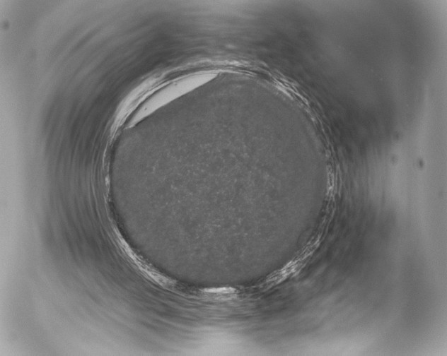 X0000053060053200507251459