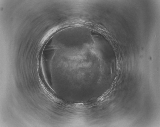 X0000053060054200507251459