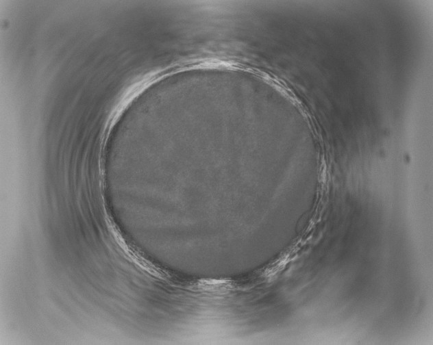 X0000053060055200507251459