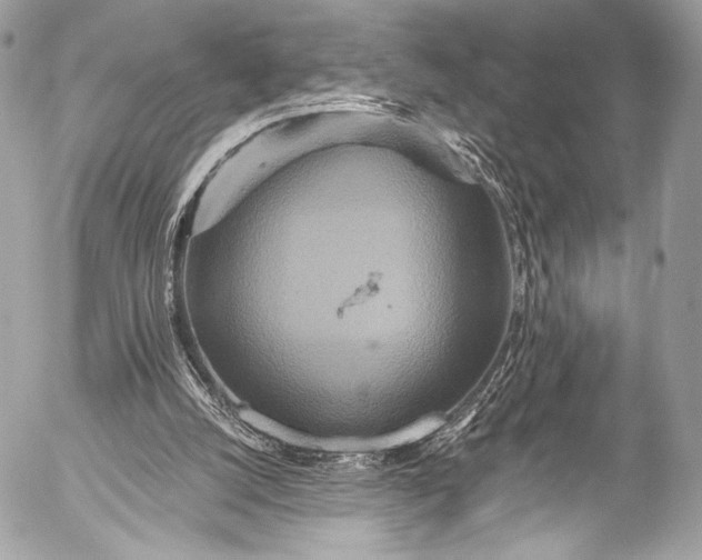 X0000053060056200507251459