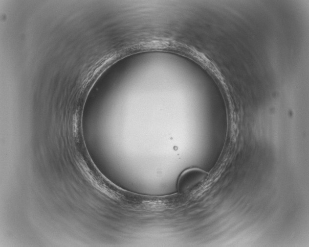 X0000053060057200507251459