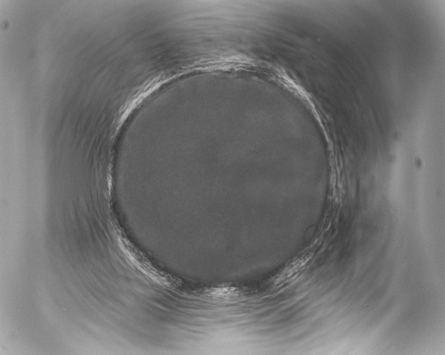 X0000053060059200507251459