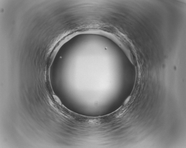 X0000053060060200507251459