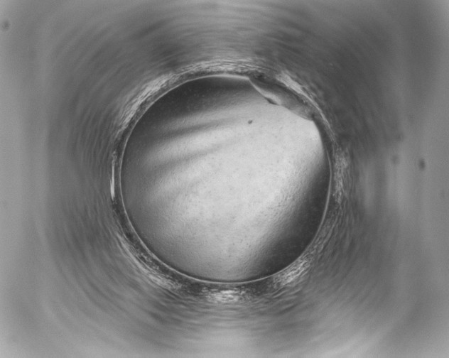 X0000053060062200507251459