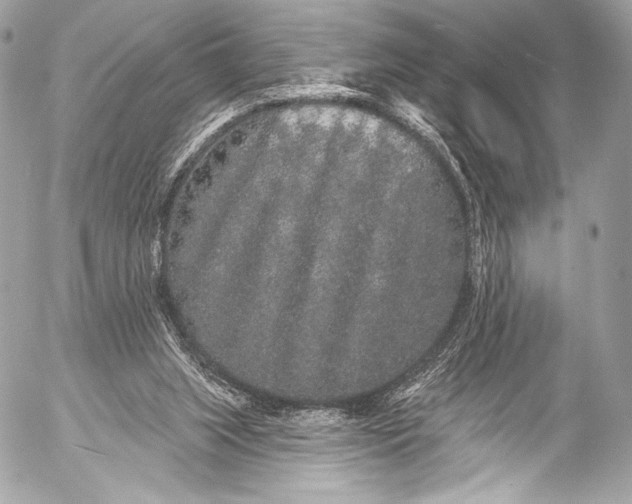 X0000053060063200507251459