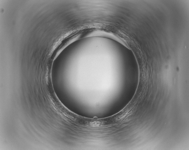 X0000053060064200507251459