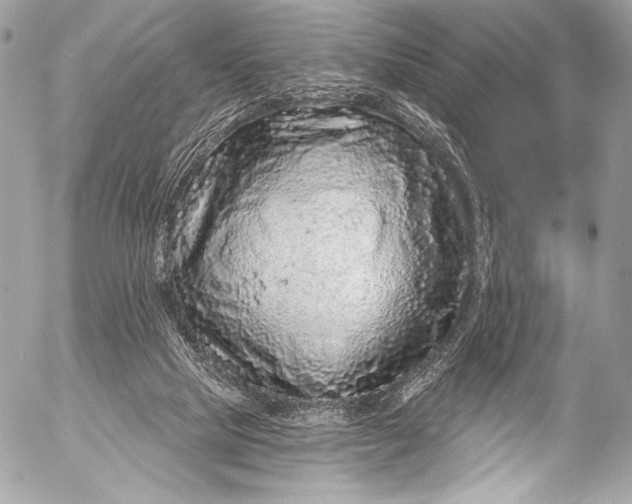 X0000053060065200507251459