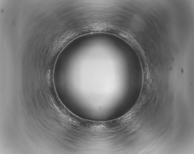 X0000053060066200507251459