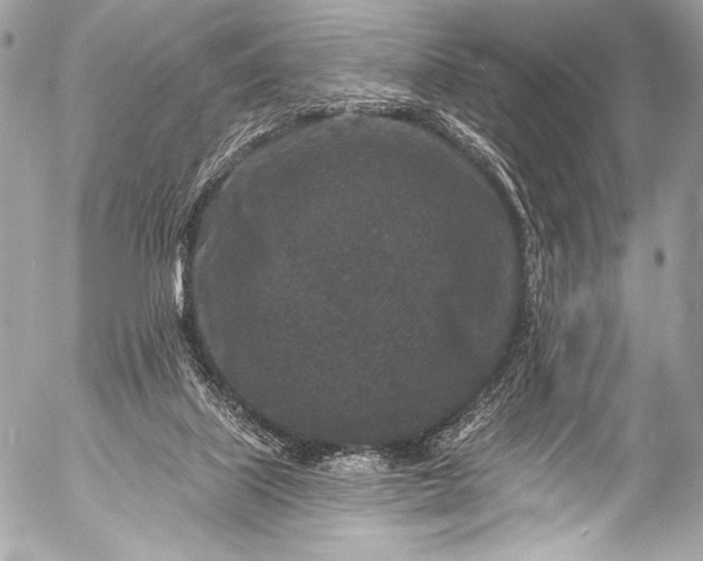 X0000053060067200507251459