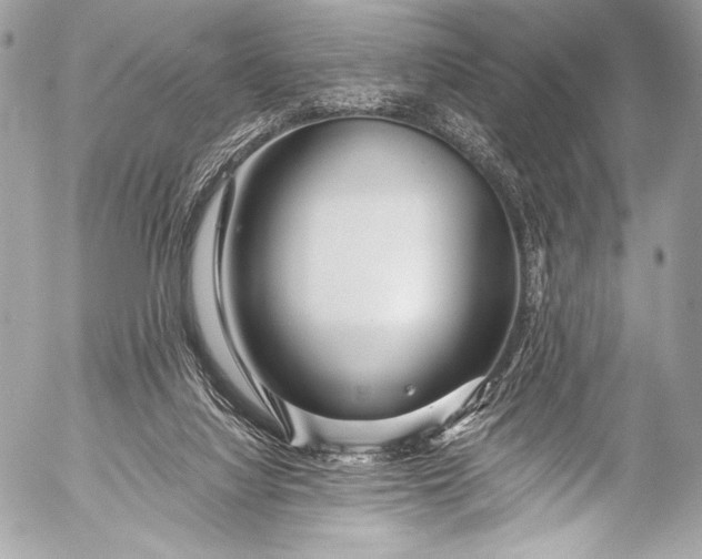 X0000053060068200507251459