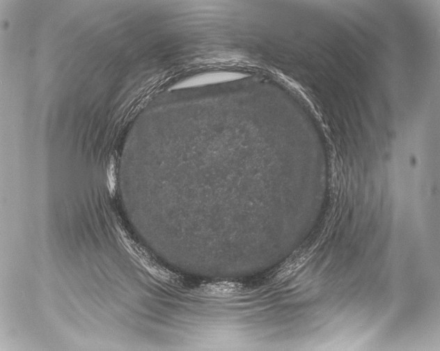 X0000053060069200507251459