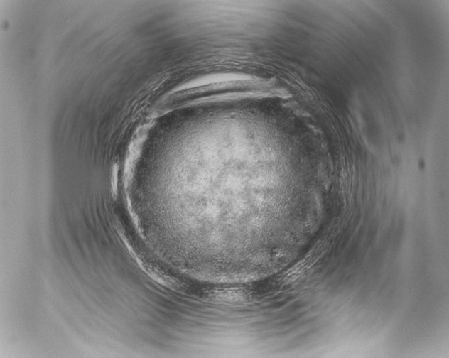 X0000053060070200507251459