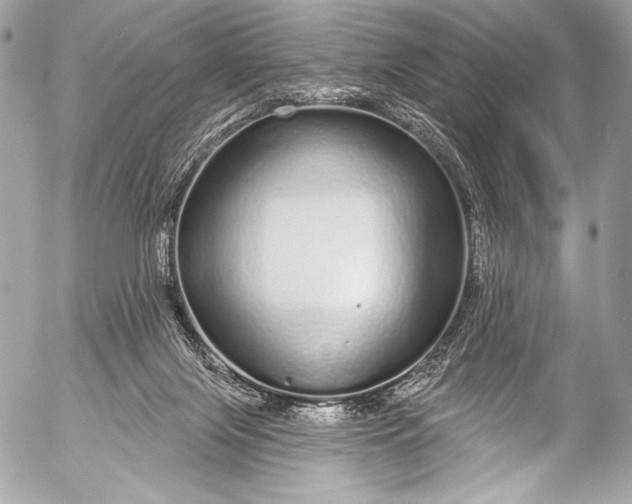 X0000053060071200507251459