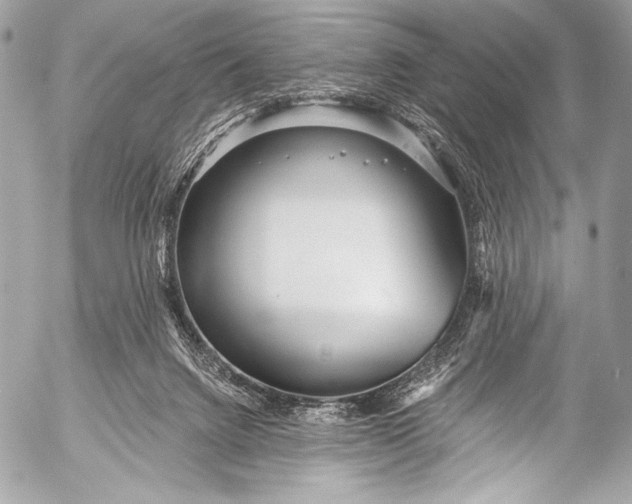 X0000053060072200507251459