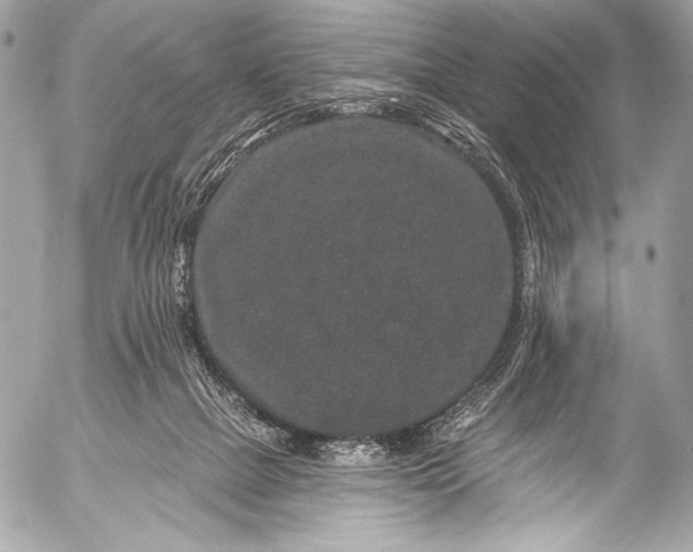 X0000053060073200507251459