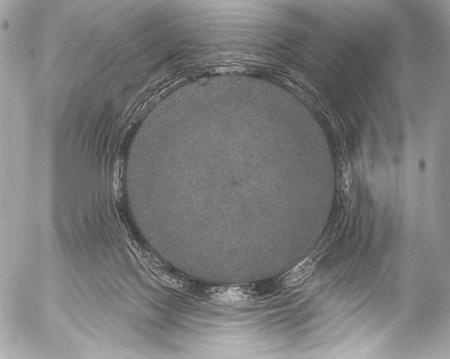 X0000053060074200507251459