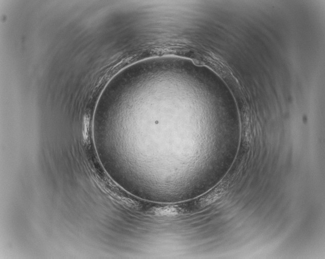 X0000053060075200507251459