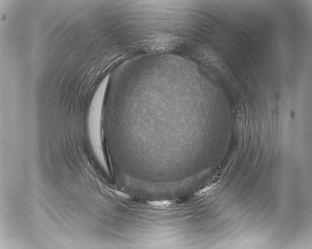 X0000053060076200507251459