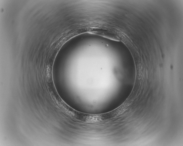 X0000053060077200507251459